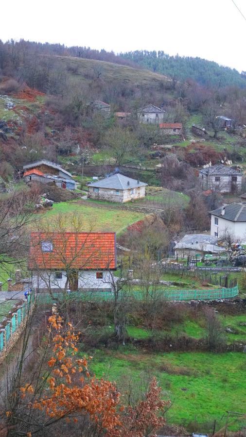 Вила Перуле Villa Perule - Handmade Cozy Wooden Villa In The Rhodope Mountain Shumnatitsa Exterior photo